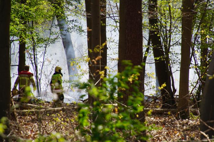 Brand in bosgebied