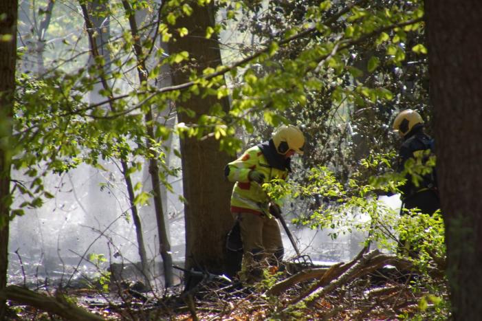 Brand in bosgebied