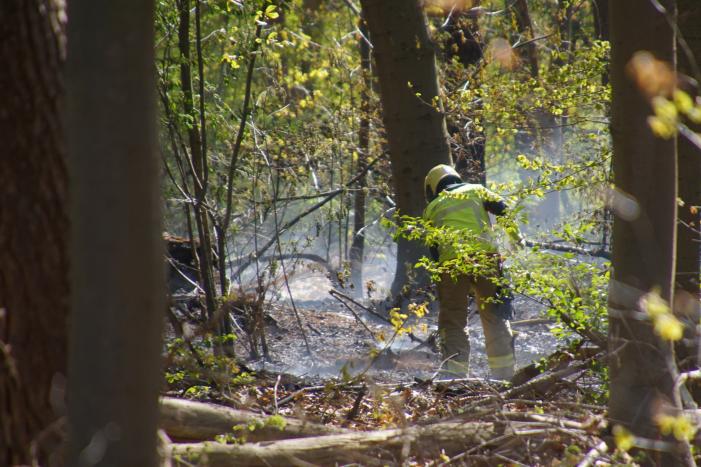 Brand in bosgebied