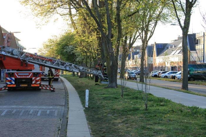 #KatwijkaanZee Brandweer verwijderd losse takken uit boom Kortenaerstraat Katwijk aan Zee.