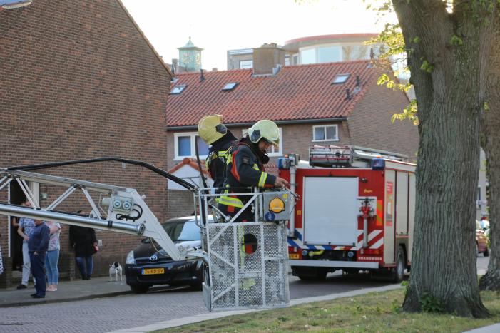 Brandweer verwijderd losse takken uit boom