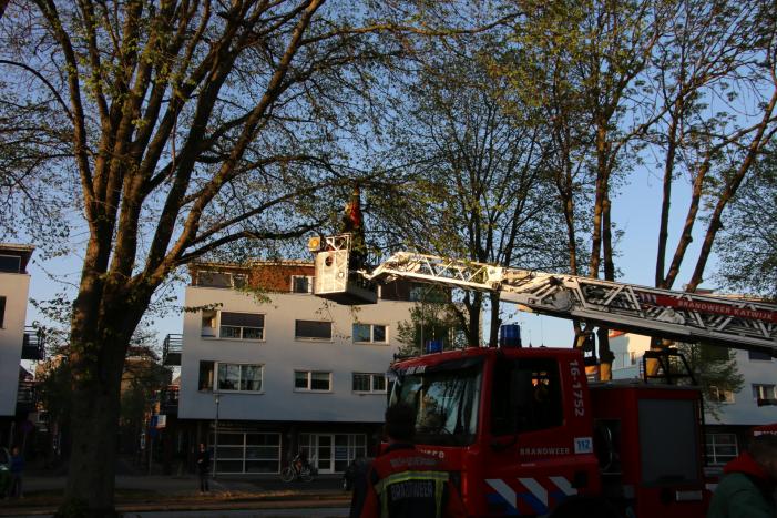 Brandweer verwijderd losse takken uit boom