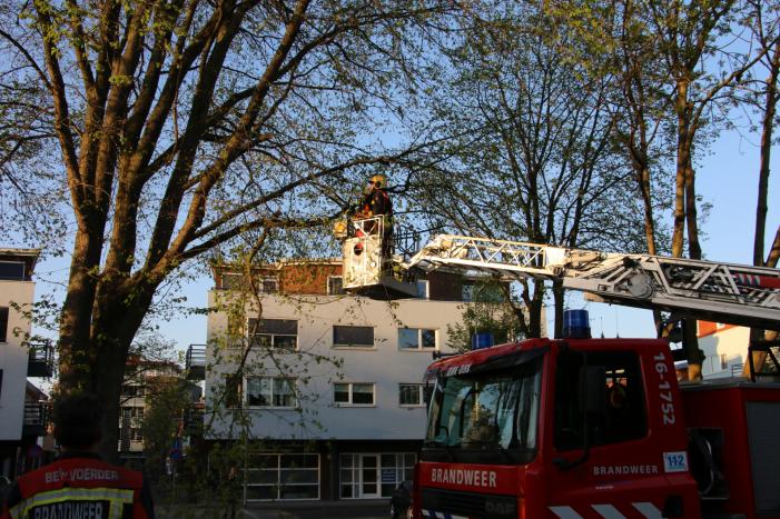 Brandweer verwijderd losse takken uit boom