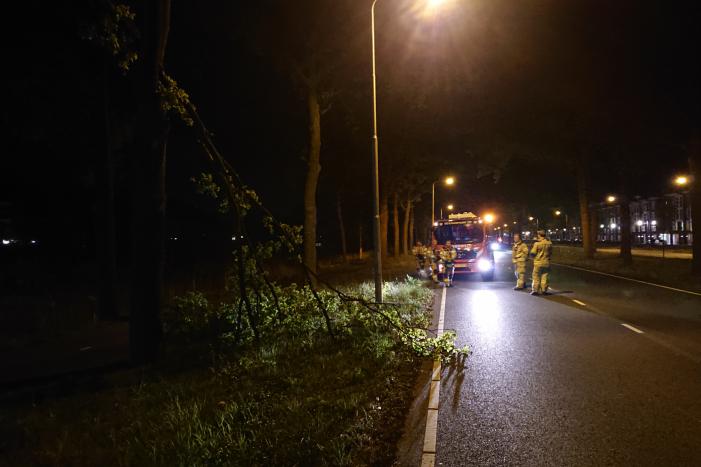 Brandweer verwijdert gevaarlijk hangende takken