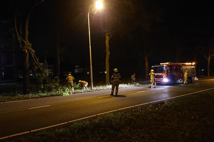 Brandweer verwijdert gevaarlijk hangende takken