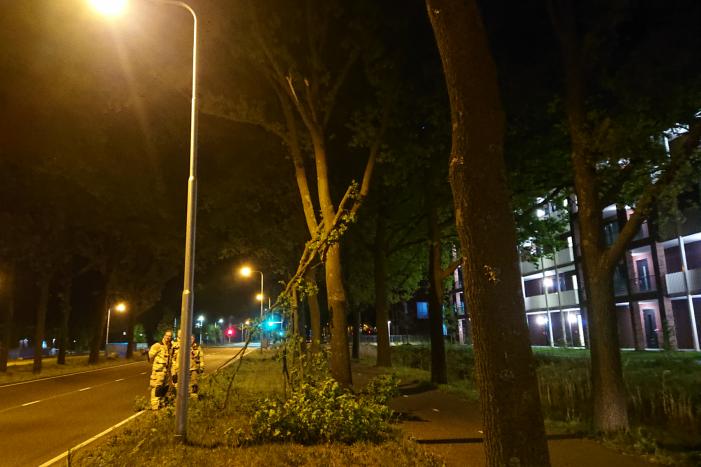 Brandweer verwijdert gevaarlijk hangende takken