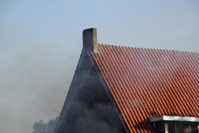 Aangestoken duivenkot loopt uit de hand