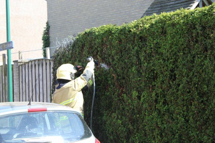 Coniferenhaag vat vlam bij wegbranden van onkruid