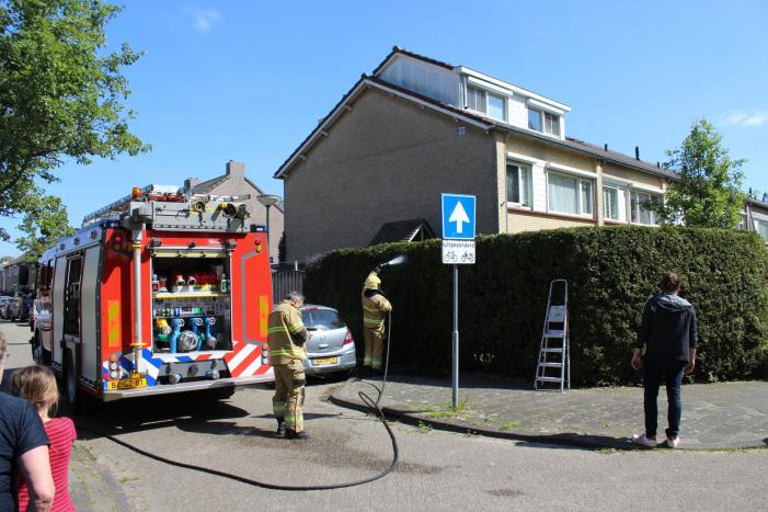 Coniferenhaag vat vlam bij wegbranden van onkruid