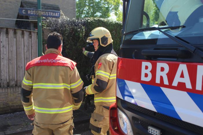 Coniferenhaag vat vlam bij wegbranden van onkruid