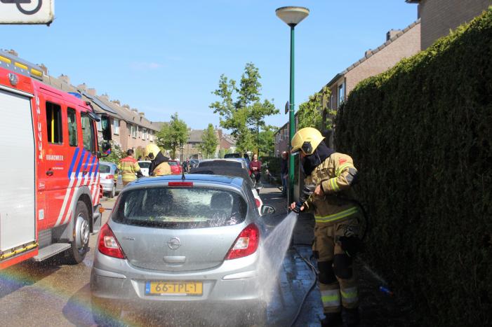 Coniferenhaag vat vlam bij wegbranden van onkruid