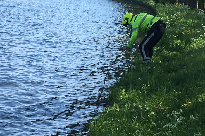 Omstanders treffen dode ree aan in het water