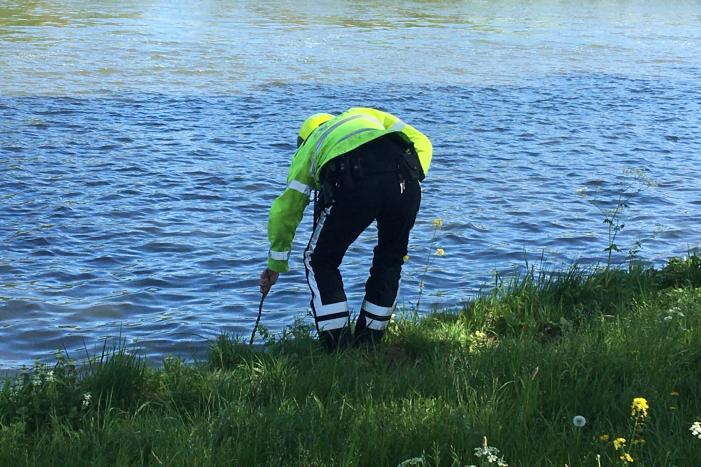 Omstanders treffen dode ree aan in het water