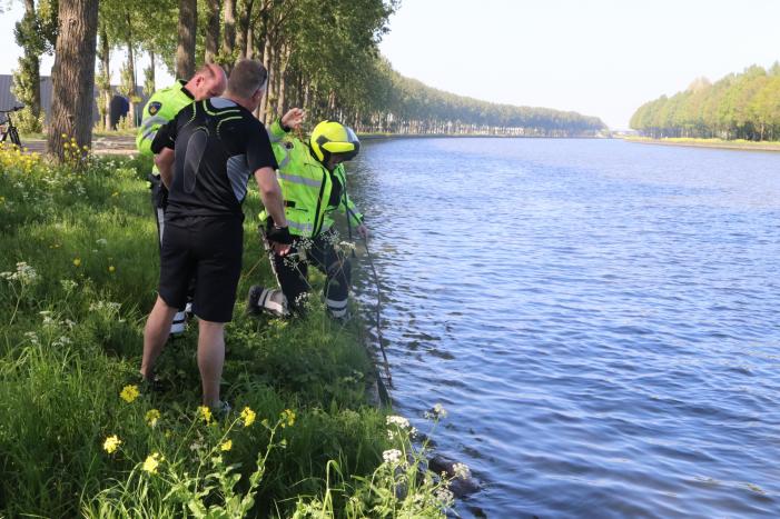 Omstanders treffen dode ree aan in het water