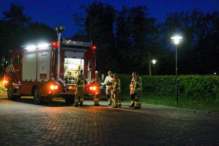 Prullenbakken in brand gestoken in stadspark