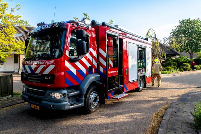Struiken in brand tijdens barbecueën