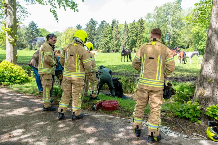 Brandweer haalt paard uit de sloot