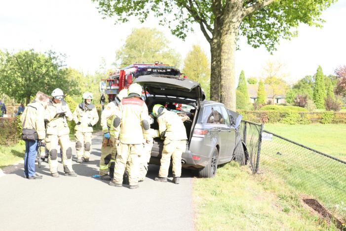 Auto botst op boom