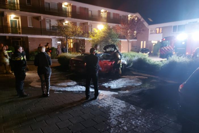 Auto vermoedelijk in brand gestoken