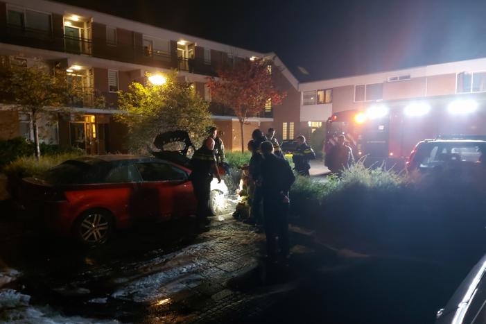 Auto vermoedelijk in brand gestoken