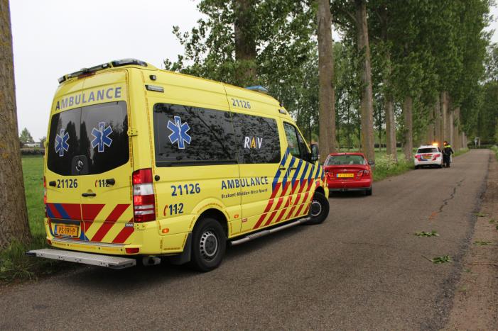 Automobilist wijkt uit en knalt op boom