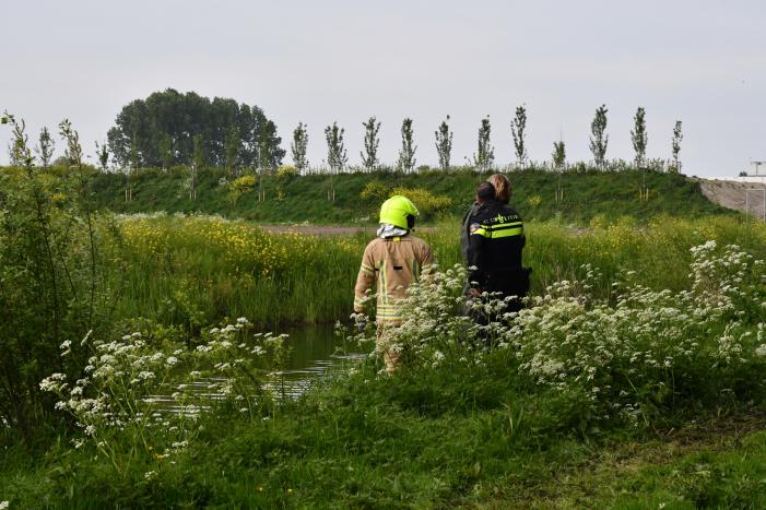 Grote zoekactie na aantreffen fiets bij Het Kooisteebos