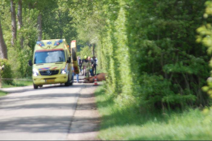 Meisje komt onder paard bij manege De Eendracht