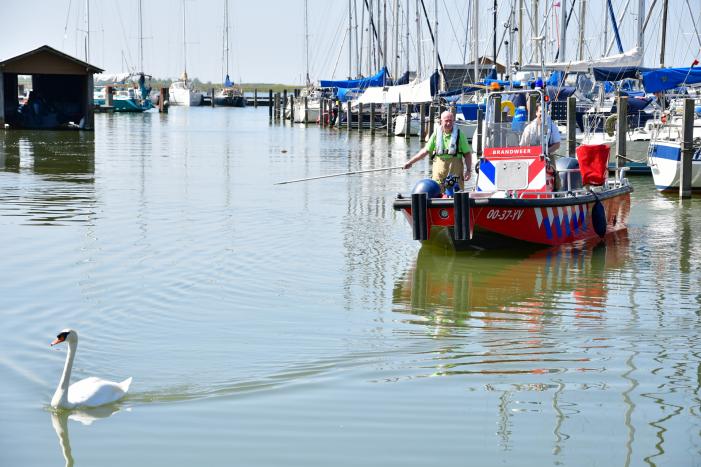 Zwaan raakt vast in visdraad bij Jachthaven Lelystad