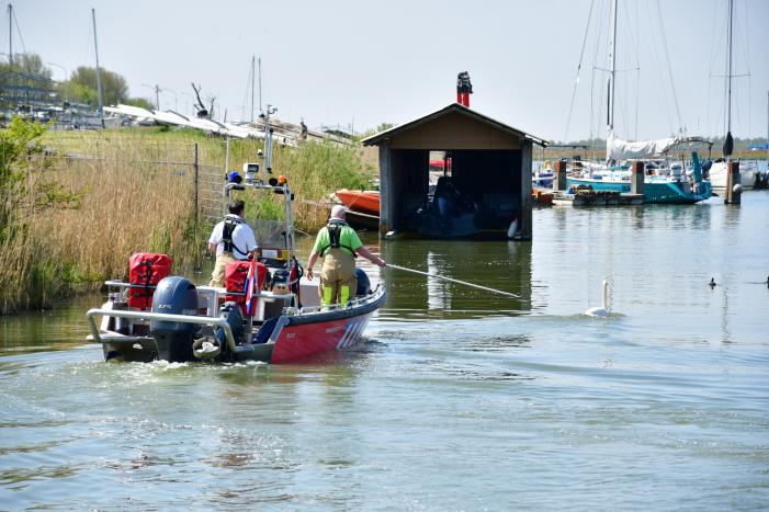 Zwaan raakt vast in visdraad bij Jachthaven Lelystad