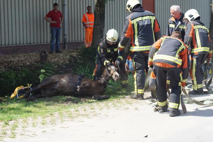Paard met wagen belanden in sloot