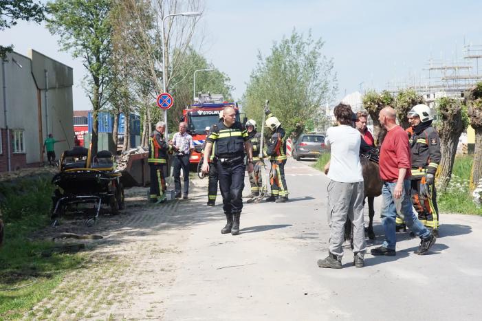 Paard met wagen belanden in sloot