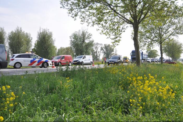 Gewonde bii kop-staartaanrijding