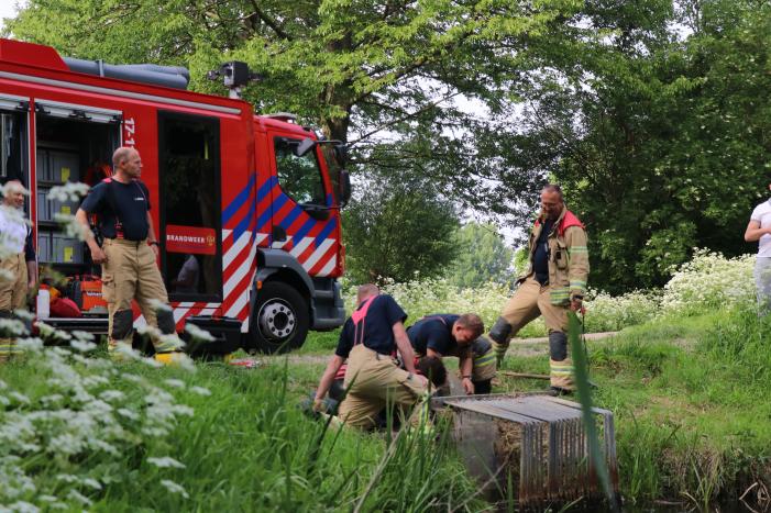 Brandweer redt baby eend uit rioolbuis