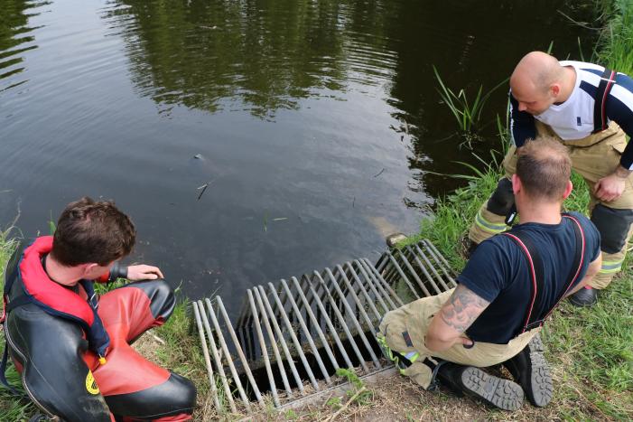 Brandweer redt baby eend uit rioolbuis