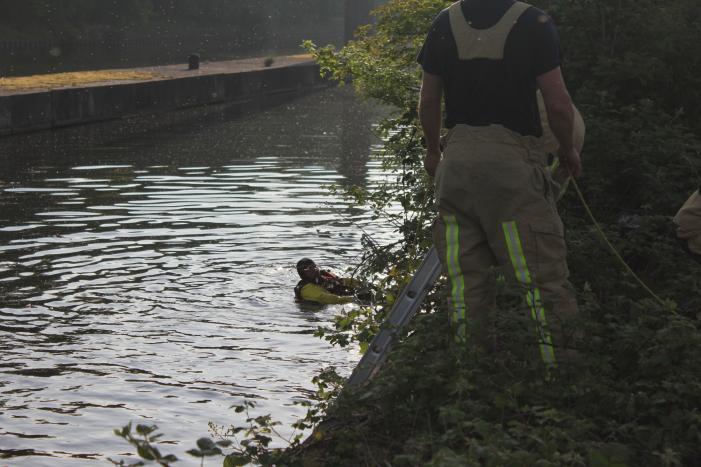 Ree gered uit kanaal