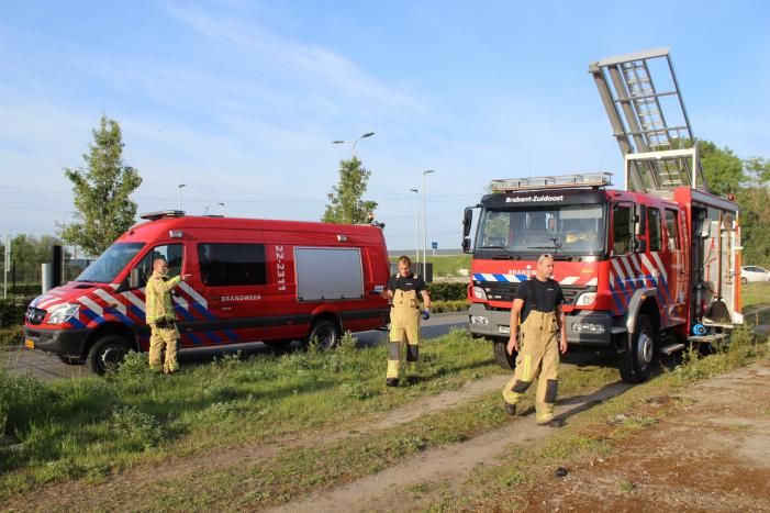 Ree gered uit kanaal
