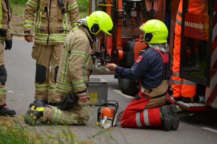 Omgewaaide boom blokkeert fietspad