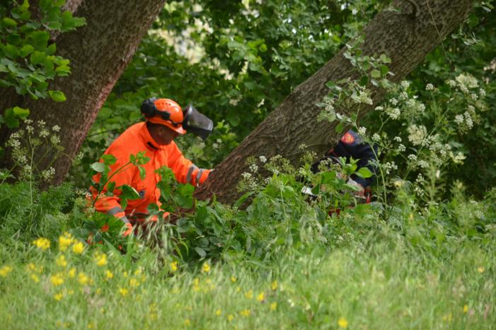 Omgewaaide boom blokkeert fietspad