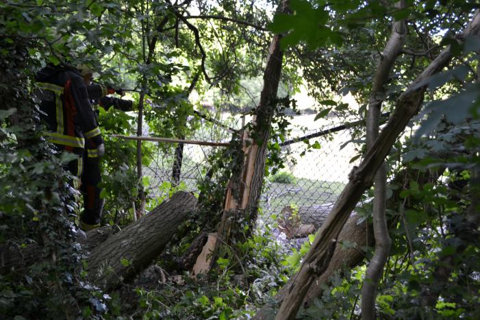 Boom valt op hekwerk bij theehuis