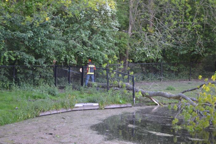 Boom valt op hekwerk bij theehuis