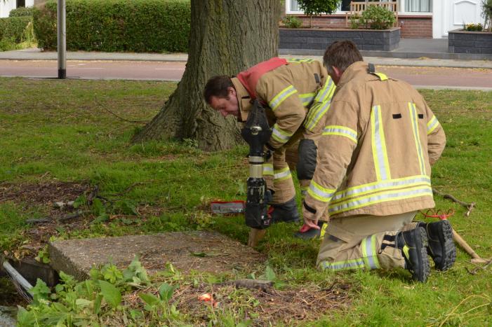 Meerkoetkuiken gered uit kolk