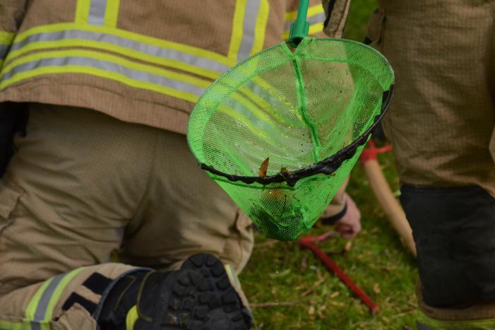 Meerkoetkuiken gered uit kolk