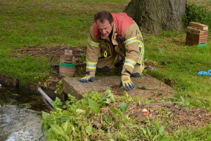 Meerkoetkuiken gered uit kolk