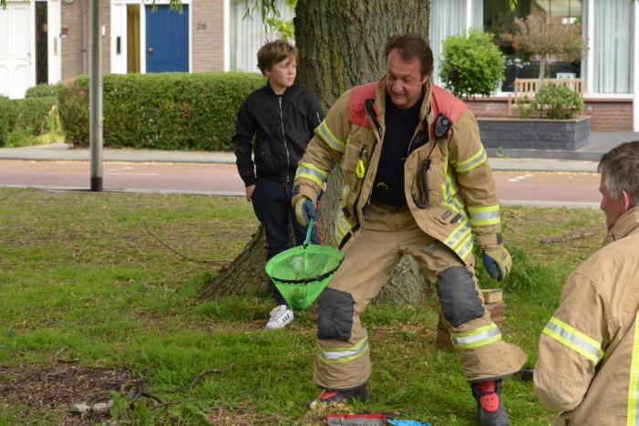 Meerkoetkuiken gered uit kolk