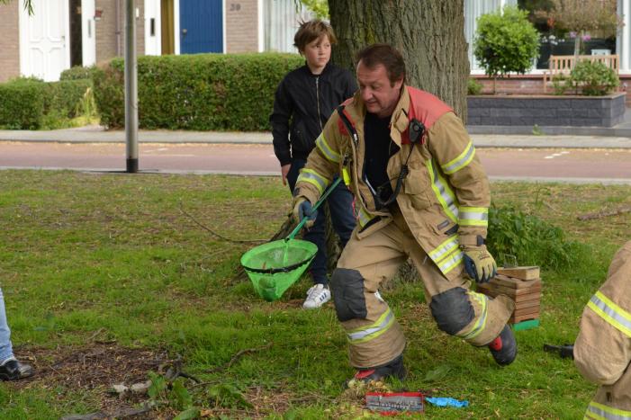 Meerkoetkuiken gered uit kolk
