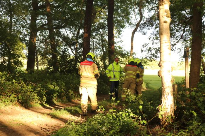 Vaten met mogelijk drugsafval aangetroffen in bos