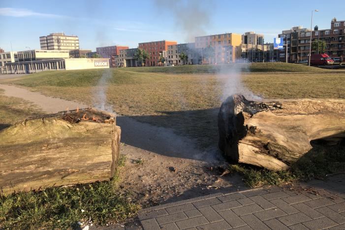 Brandweer blust brandende boomstammen