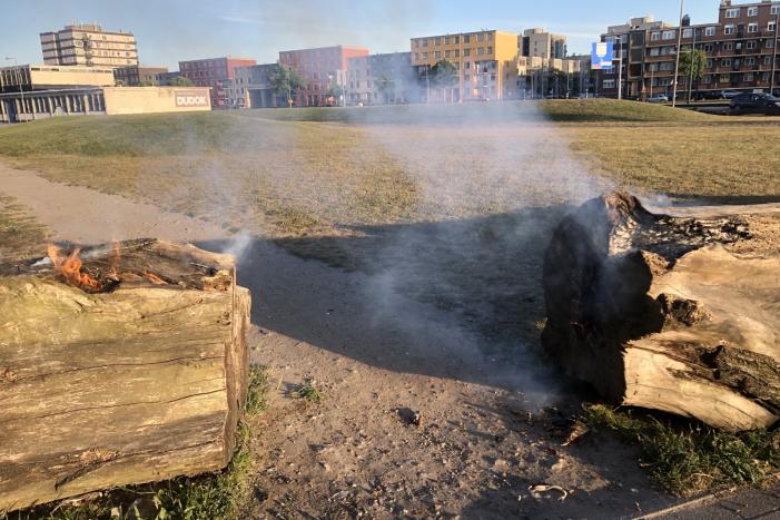 Brandweer blust brandende boomstammen