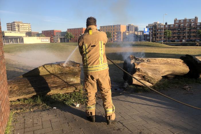 Brandweer blust brandende boomstammen