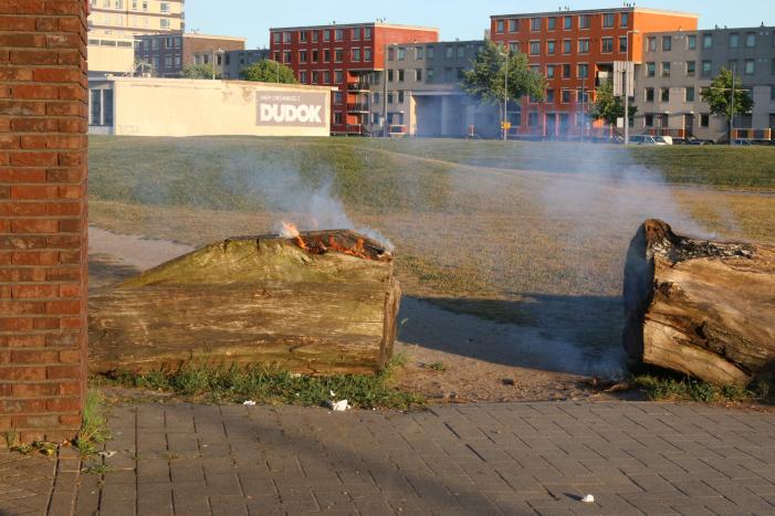 Brandweer blust brandende boomstammen